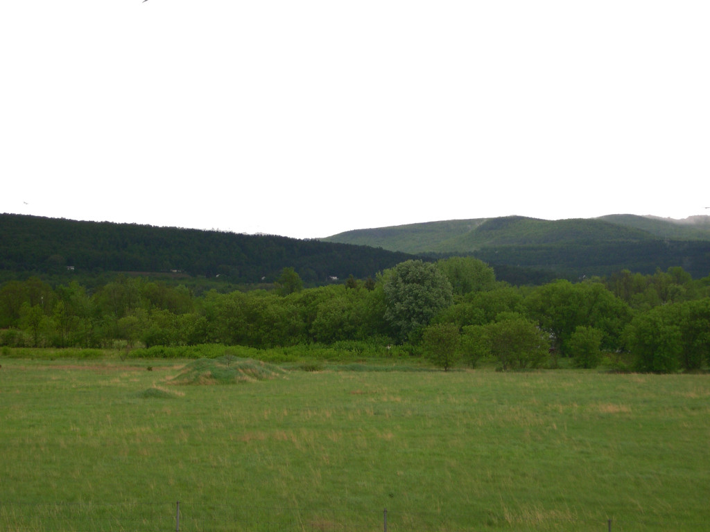 DSCN5198