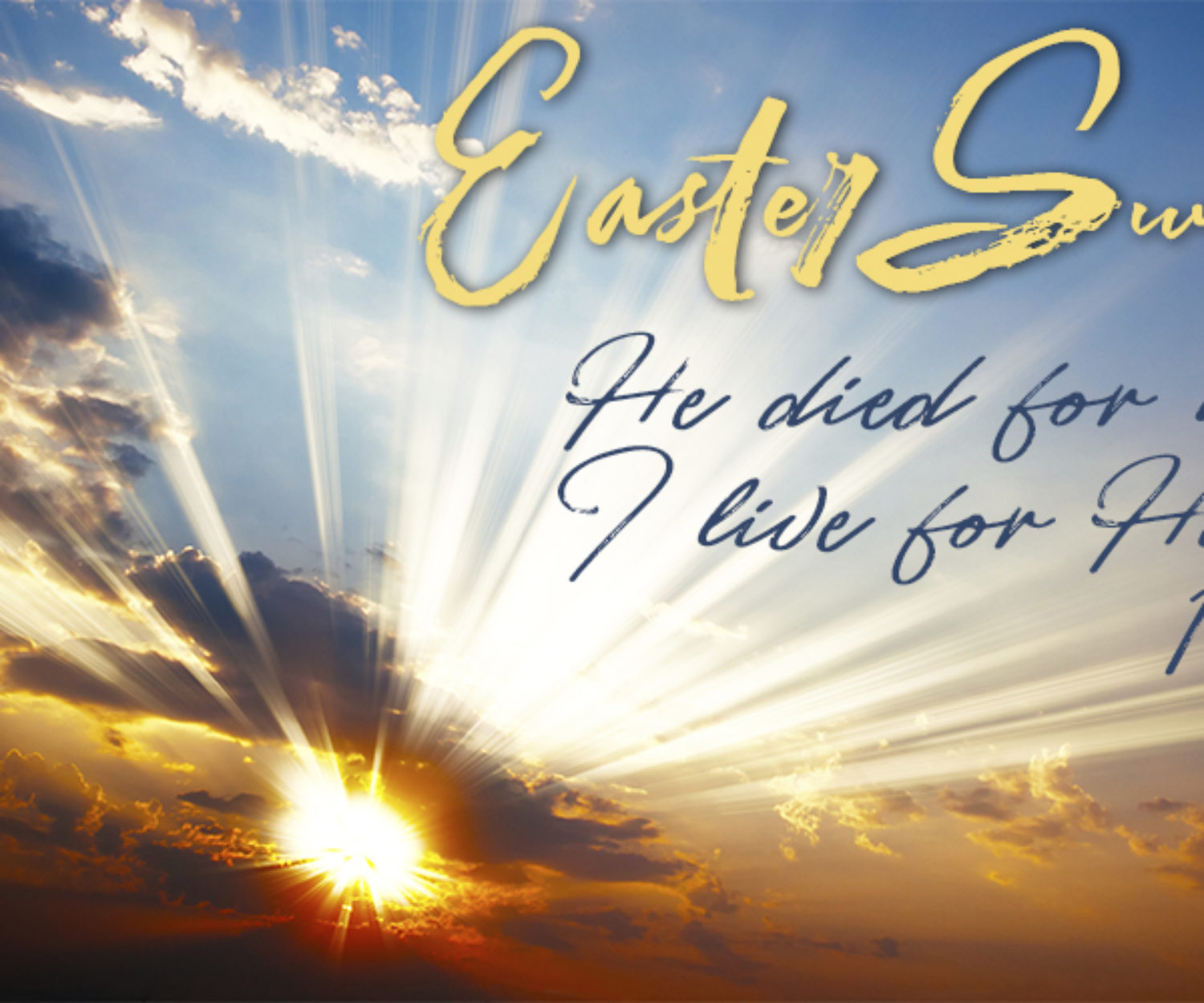 beautiful colorful sunset with sun rays