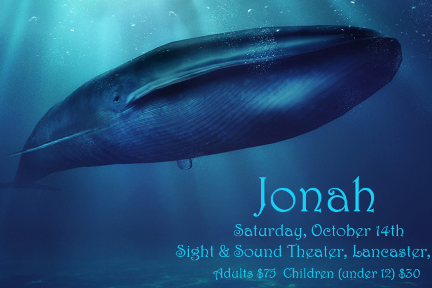 Blue whale, sea, animal.