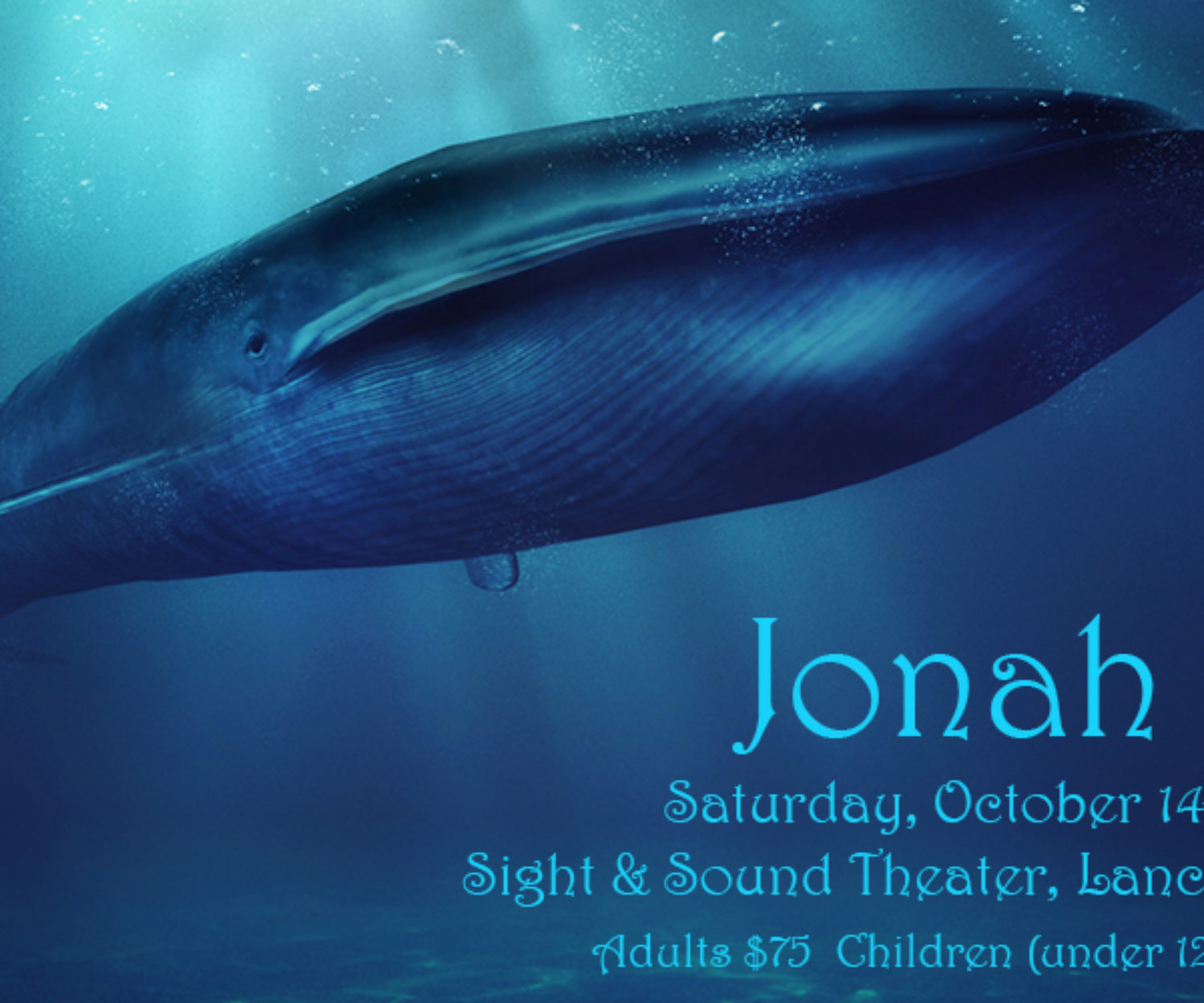 Blue whale, sea, animal.